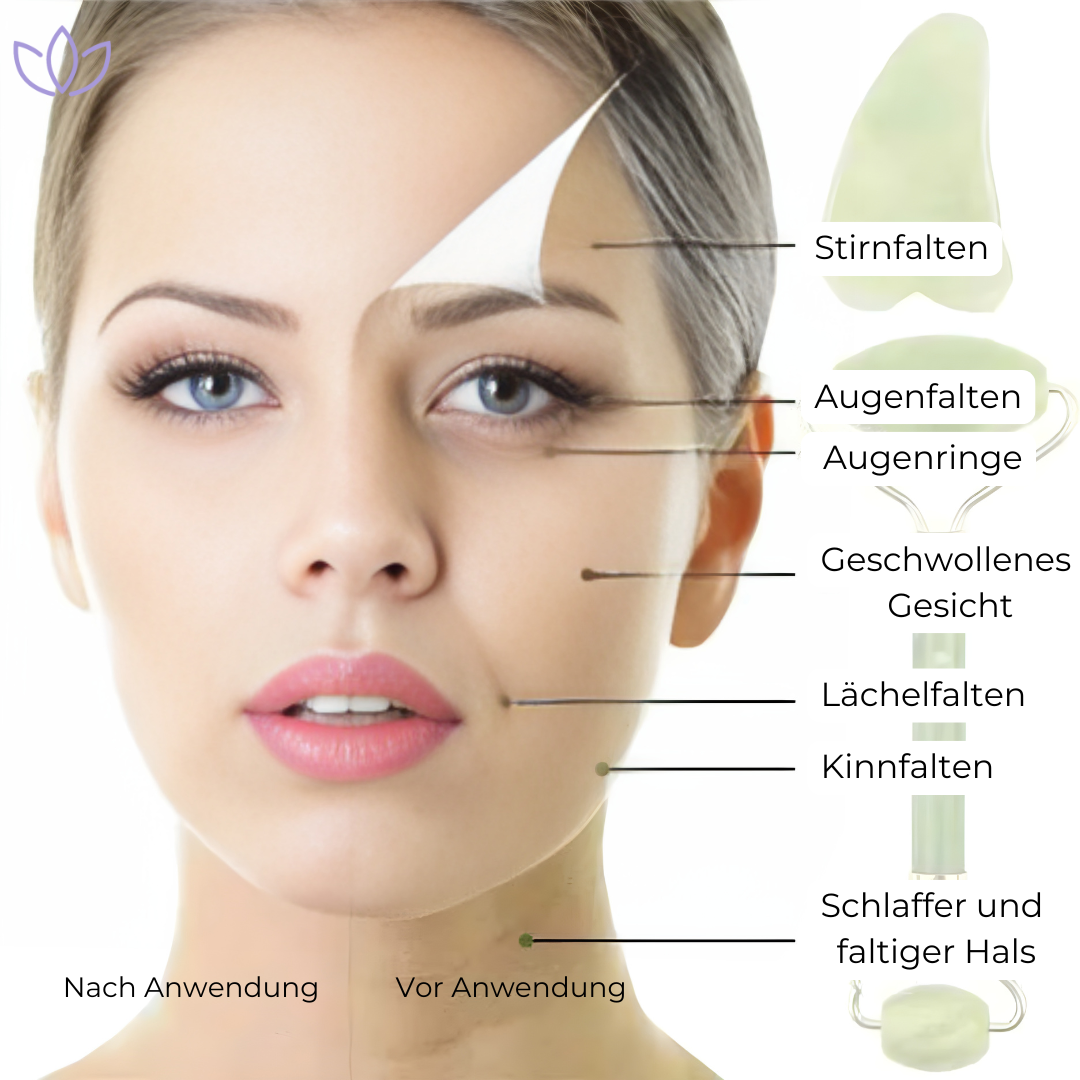 Glovéa anti Falten Roller + Gua Sha Massage-Schaber
